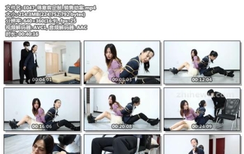 E047-得意客定制_销售劫案