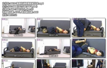 B414-珊珊传递假情报被发现