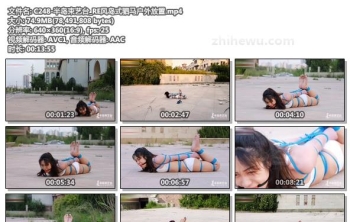 C248-半岛束艺台_RE风岛式驷马户外放置