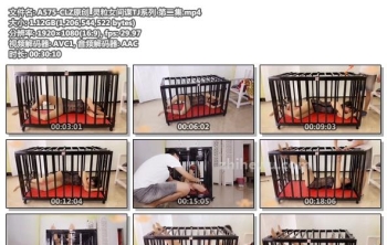 A575-CLZ原创_灵粒女间谍TJ系列 第二集