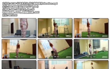 B738-半岛束艺台_苏心旗袍直吊vibration