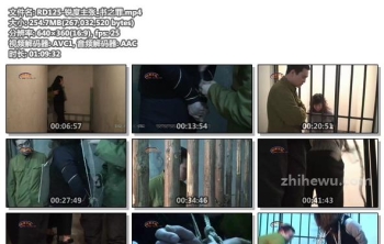 RD125-锐度主张_书之罪